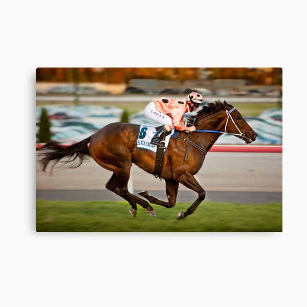 Black Caviar Canvas Print