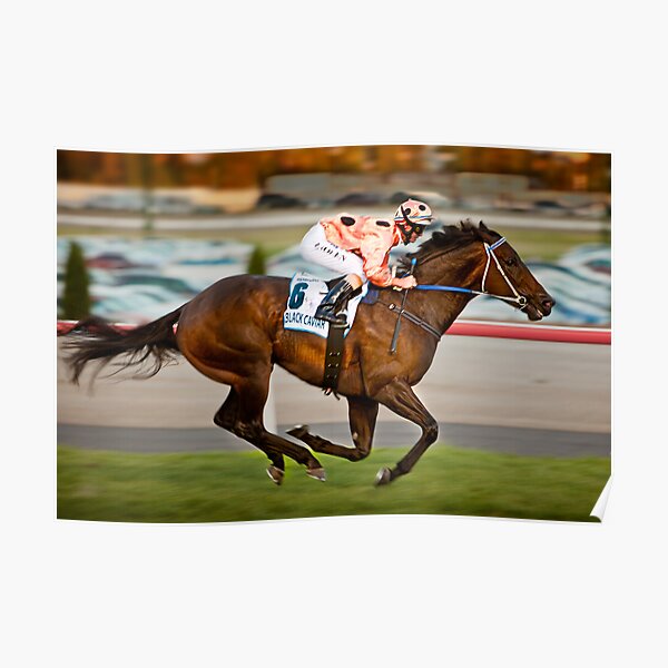 Black Caviar Poster