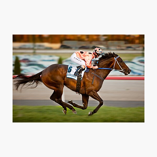 Item preview, Black Caviar designed and sold by Paul Grinzi.