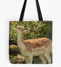 Mmmmm !! Spring is in the Air Tote Bag