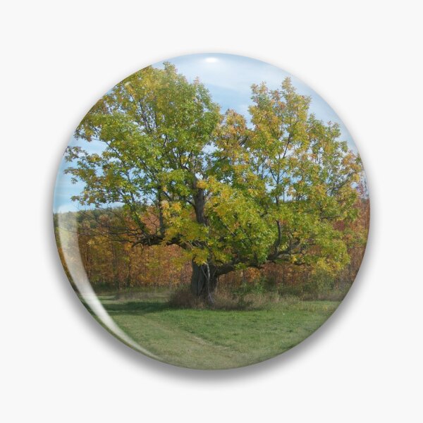 Item preview, John A. Hutter Memorial Park designed and sold by TeresaYoung9.
