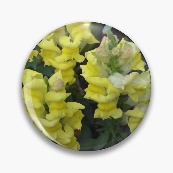 Item preview, Snapdragons snapping  designed and sold by Margaret Shark.