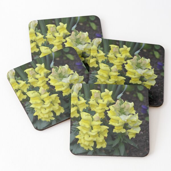 Item preview, Snapdragons snapping  designed and sold by Margaret Shark.