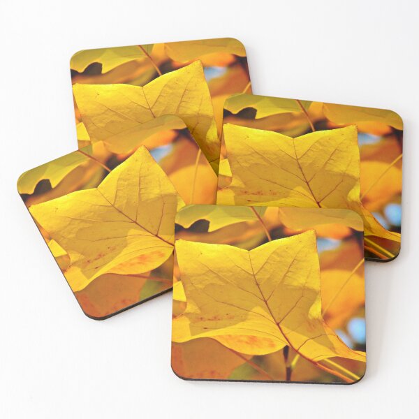 Item preview, Autumn's coming designed and sold by Patman61.