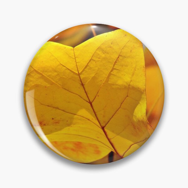 Item preview, Autumn's coming designed and sold by Patman61.