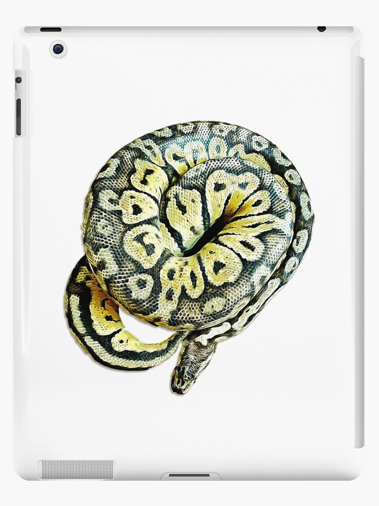 Funda y vinilo para iPad «Serpiente amarilla Super Pastel Ball Python» de  bahlpythons | Redbubble