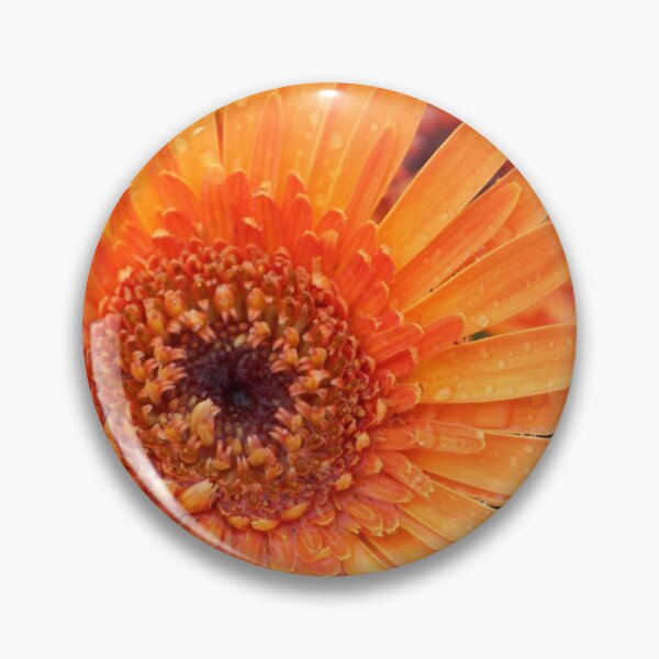 Item preview, Orange Gerber Daisy after the Rain designed and sold by Susie Kramer.