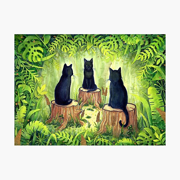 The Meeting Photographic Print