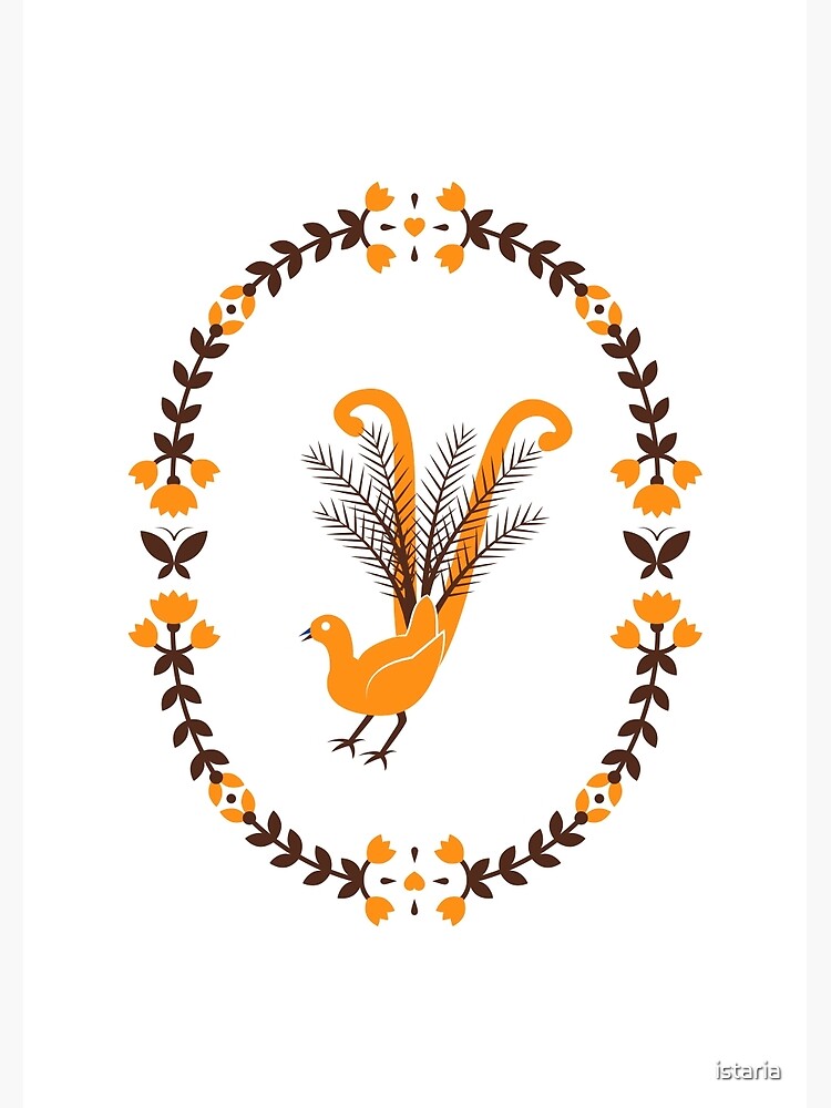 Folk Lyrebird by istaria