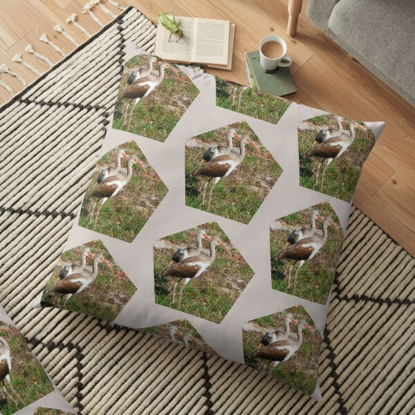 Ibis Couple Floor Pillow