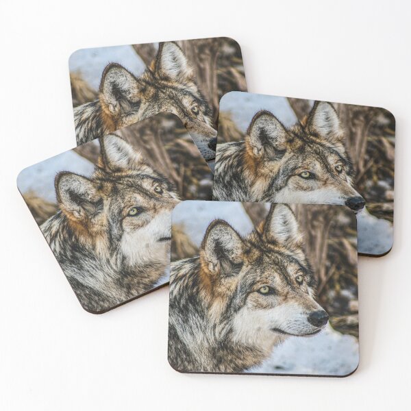 Item preview, New Mexican Grey Wolf Image By Rich AMeN Gill designed and sold by RichAMeNGill.