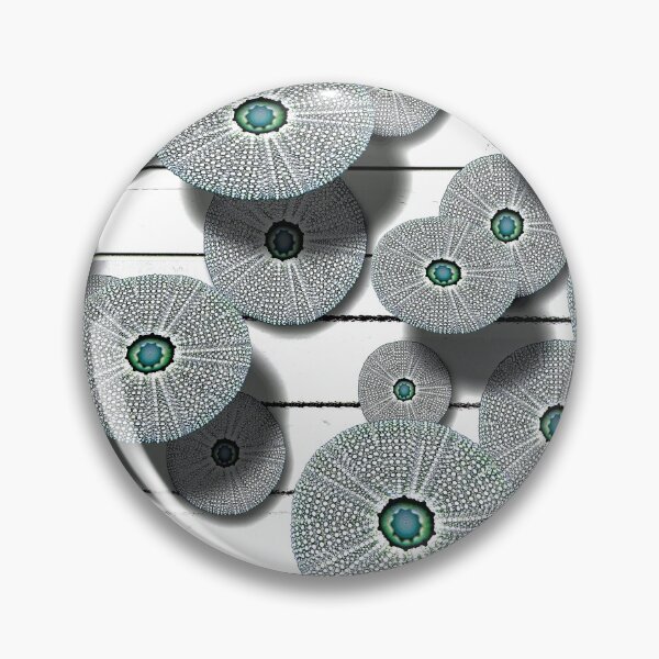 Item preview, © Sea urchins.... designed and sold by GeoPipics.