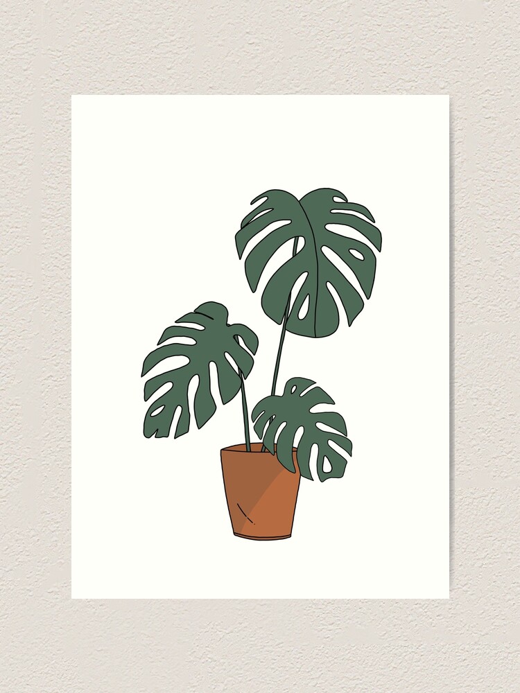 Minimalist monstera Art Print for Sale by | Redbubble