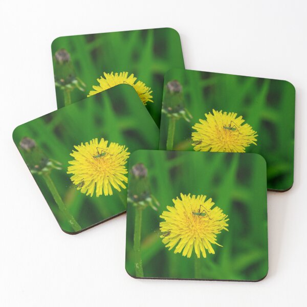 Item preview, Katydid nymphs on yellow Dandelion flower designed and sold by Stretch Clendennen.