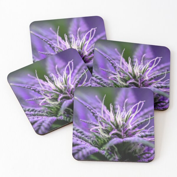 Item preview, Power of Purple designed and sold by Maddie4Real.