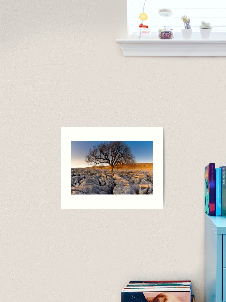 Thumbnail 2 of 3, Art Print, Tree in Stone designed and sold by sjbowen.