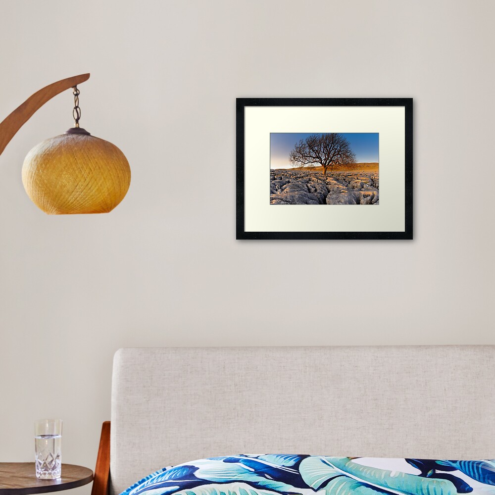 Item preview, Framed Art Print designed and sold by sjbowen.