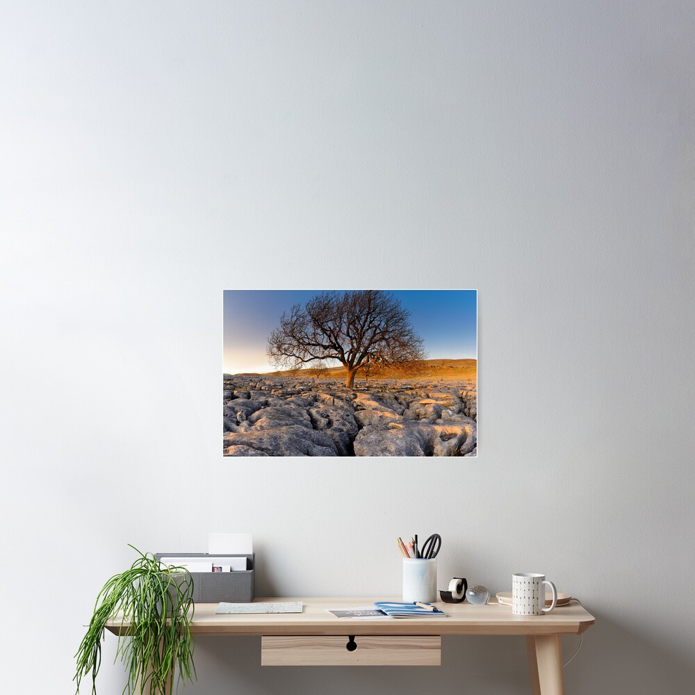 Item preview, Poster designed and sold by sjbowen.