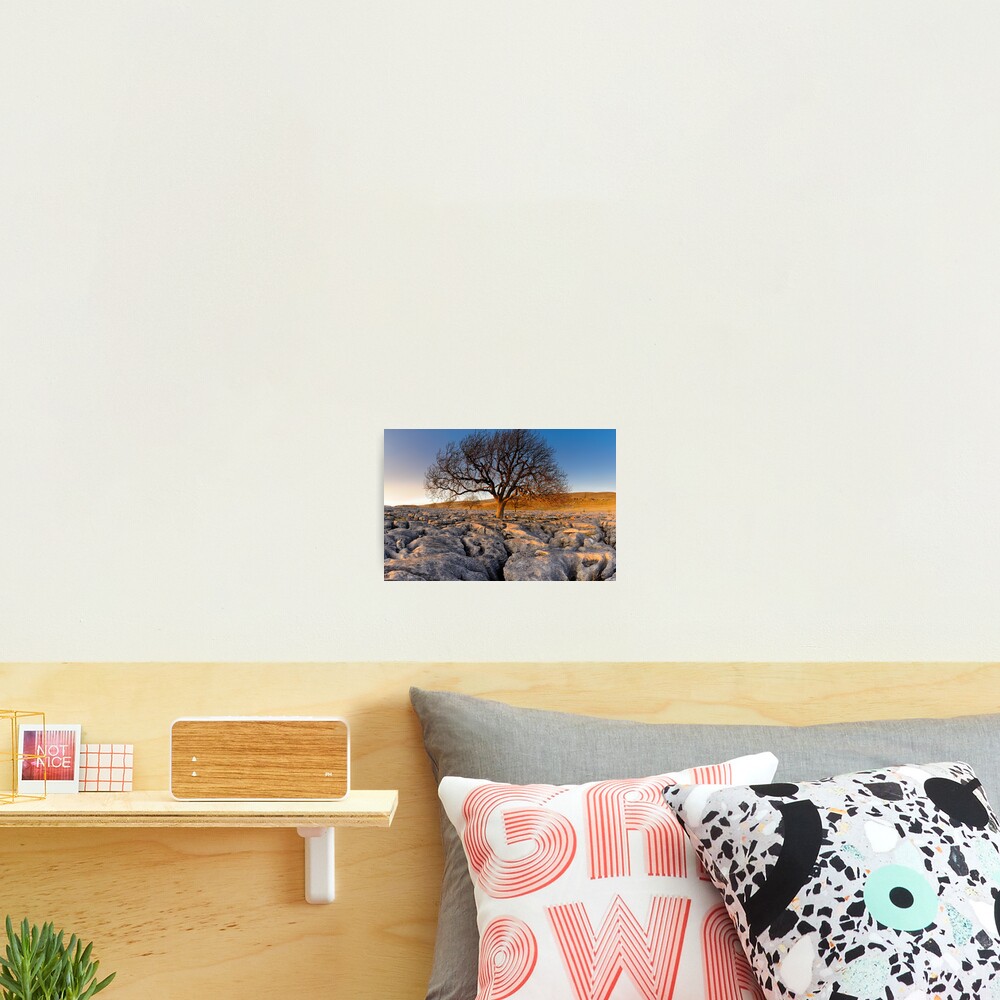 Item preview, Photographic Print designed and sold by sjbowen.