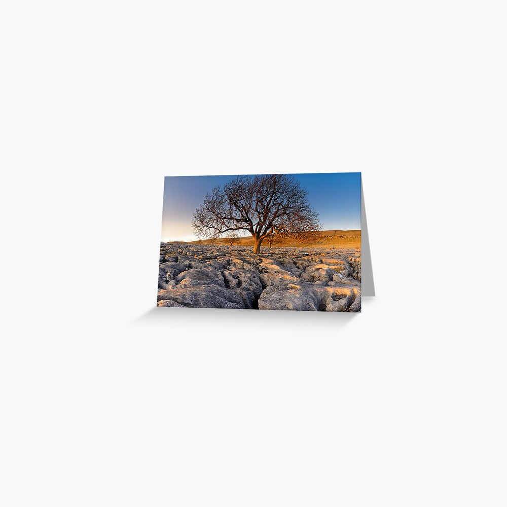Item preview, Greeting Card designed and sold by sjbowen.