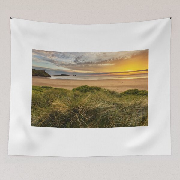 Item preview, Worms Head, Rhossili Bay designed and sold by Dan Santillo.