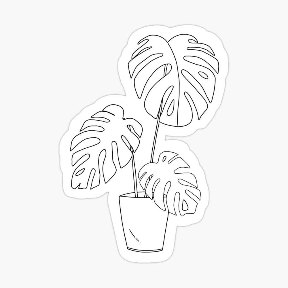 Hand Drawn Indoor Plants for Plant Lovers and Lovers of Cottage Core - Plant  Lover - Posters and Art Prints | TeePublic