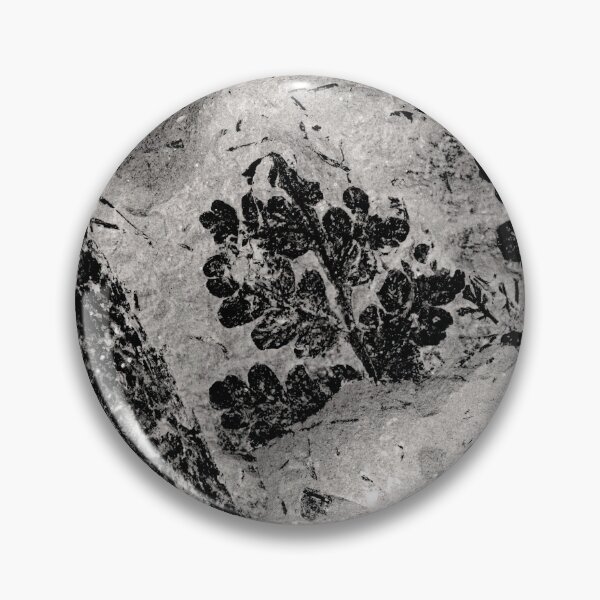 Item preview, © Plant Fossils designed and sold by GeoPipics.