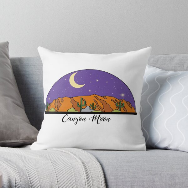 https://ih1.redbubble.net/image.1137108351.3157/throwpillow,small,600x-bg,f8f8f8-c,0,120,600,600.u4.jpg