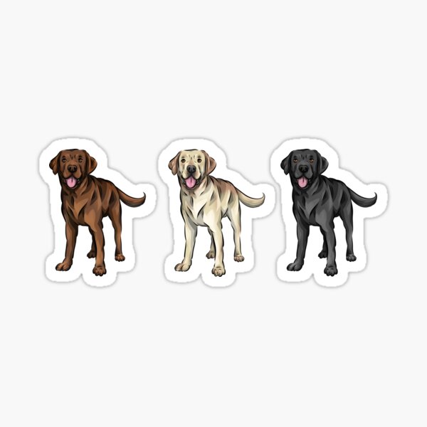 Item preview, Labrador set | Yellow, Chocolate, Black | Cute dogs designed and sold by shirinsart.