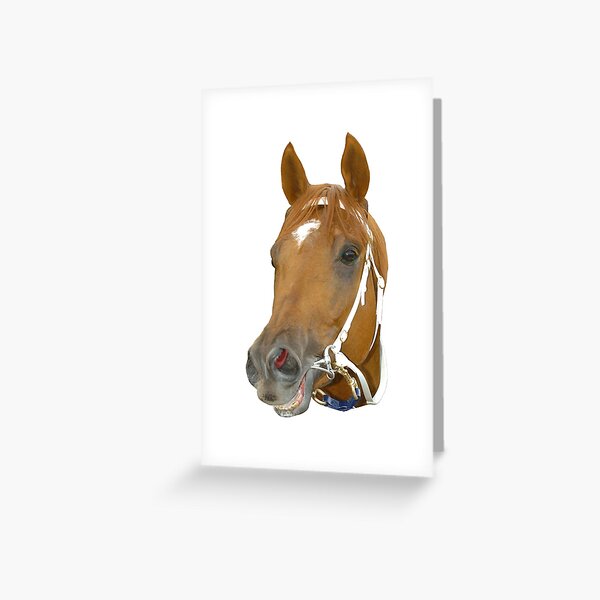 Smiling horse Greeting Card