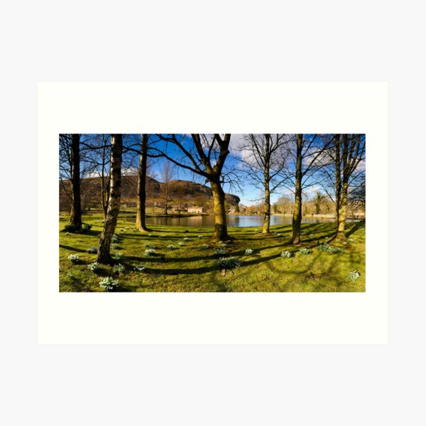 Art Print