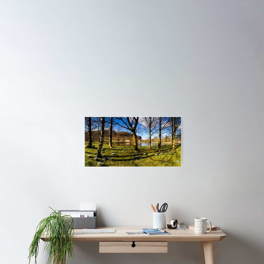 Item preview, Poster designed and sold by sjbowen.