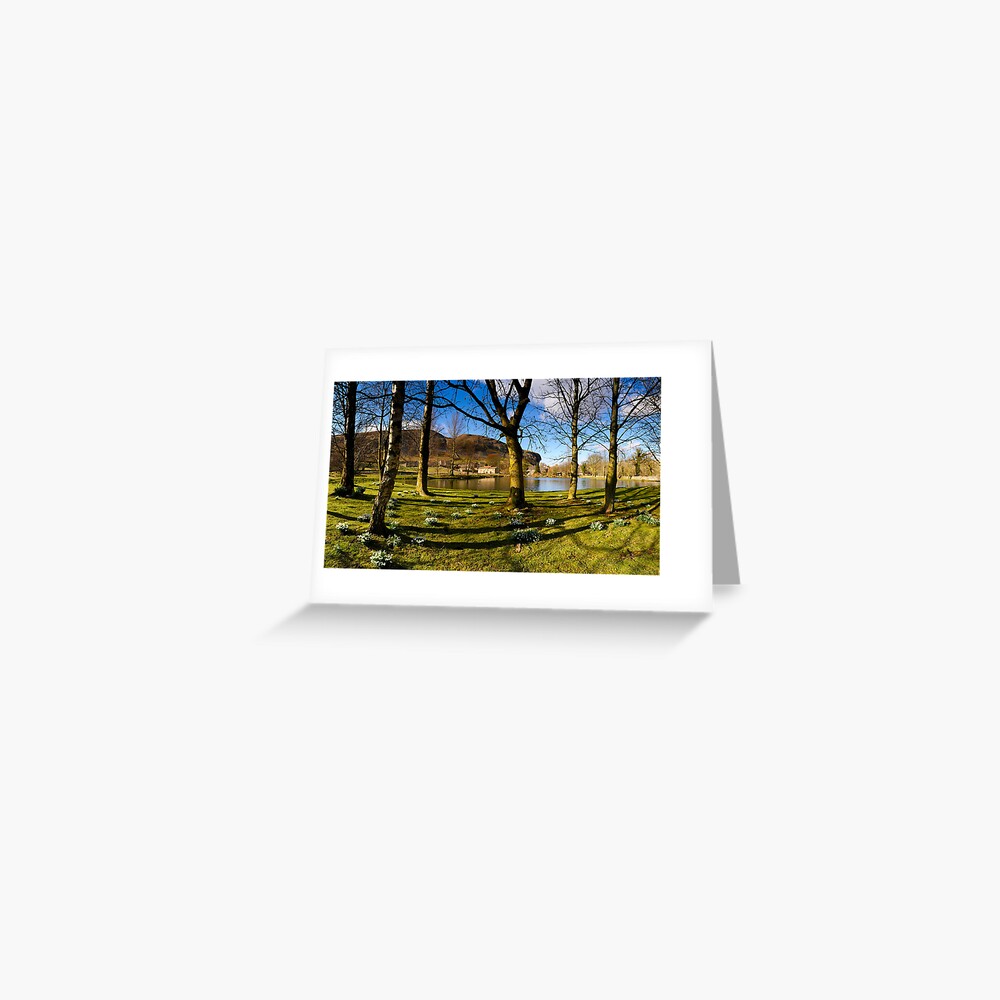 Item preview, Greeting Card designed and sold by sjbowen.