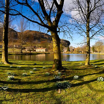 Artwork thumbnail, Kilnsey Crag from Kilnsey Park Panorama by Simon Bowen