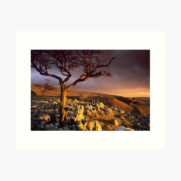 Conistone II Art Print