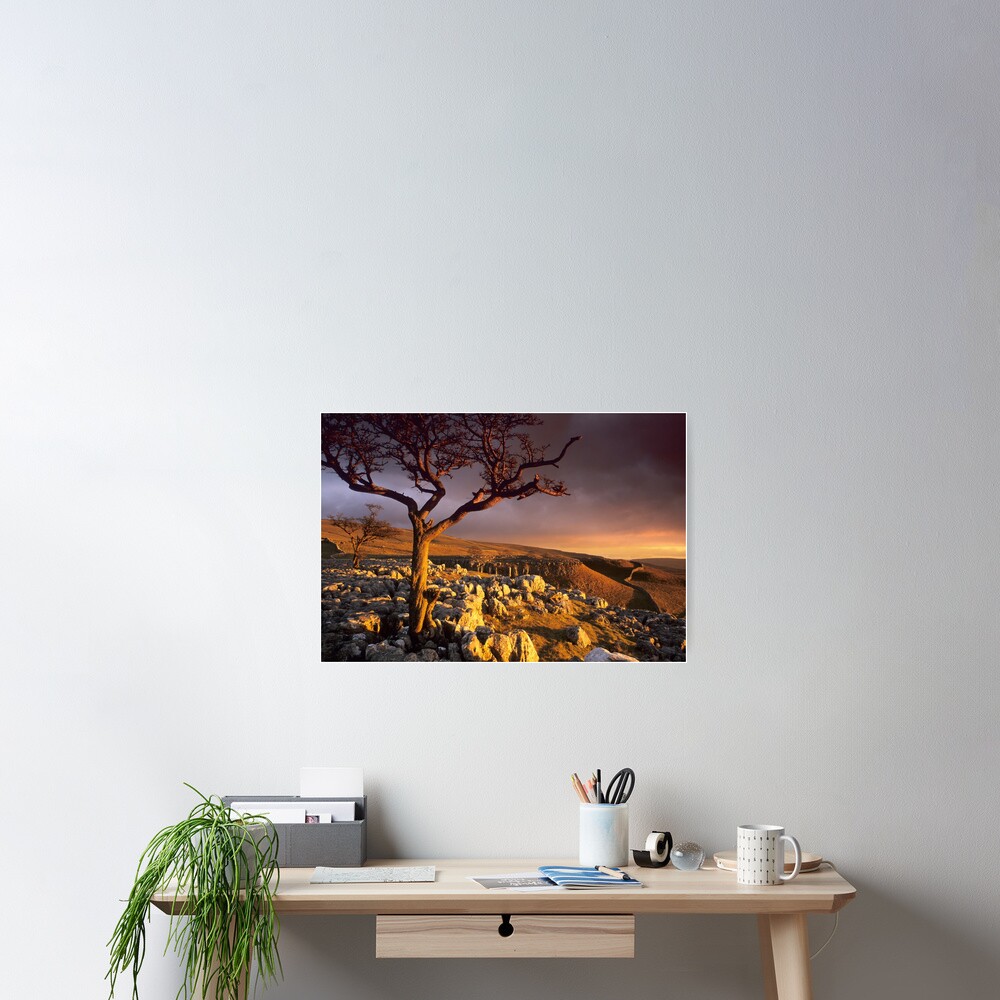 Item preview, Poster designed and sold by sjbowen.