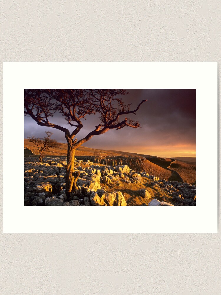 Thumbnail 1 of 3, Art Print, Conistone II designed and sold by sjbowen.