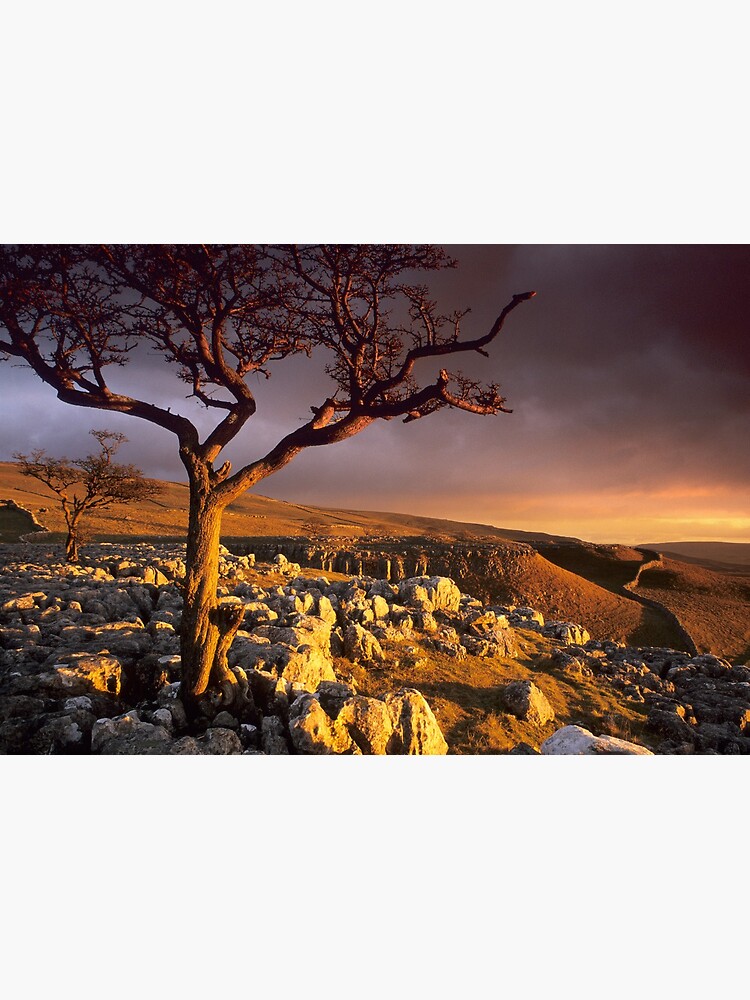 Thumbnail 3 of 3, Art Print, Conistone II designed and sold by sjbowen.