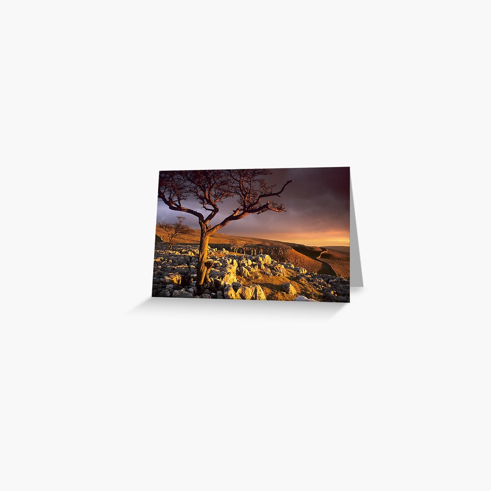 Item preview, Greeting Card designed and sold by sjbowen.