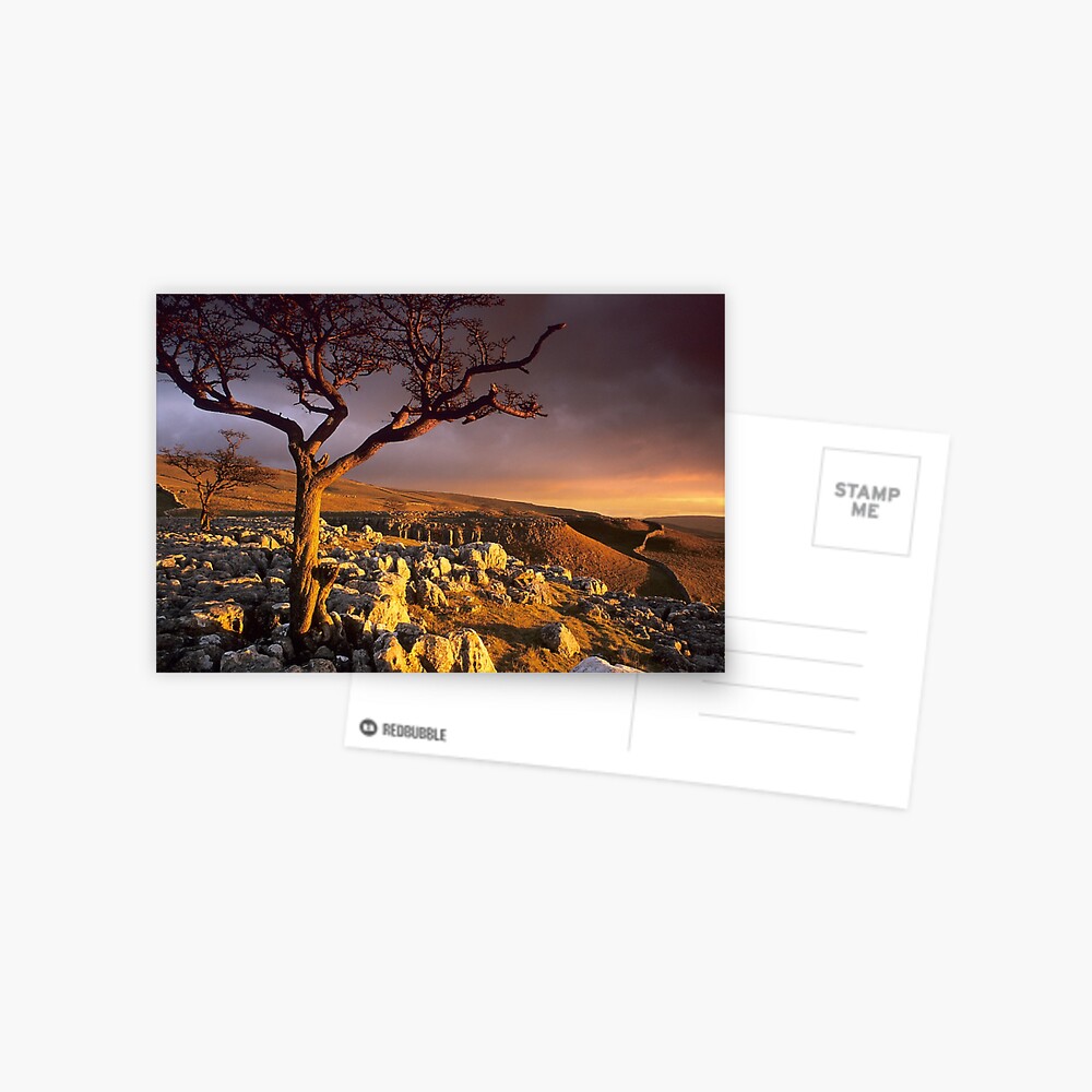 Item preview, Postcard designed and sold by sjbowen.