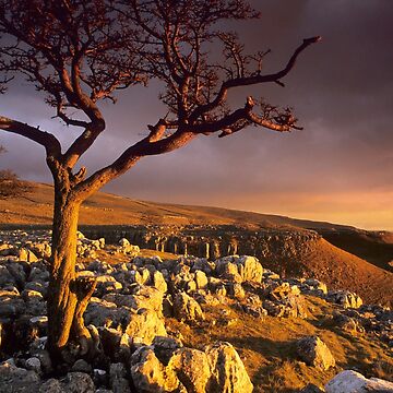 Artwork thumbnail, Conistone II by Simon Bowen