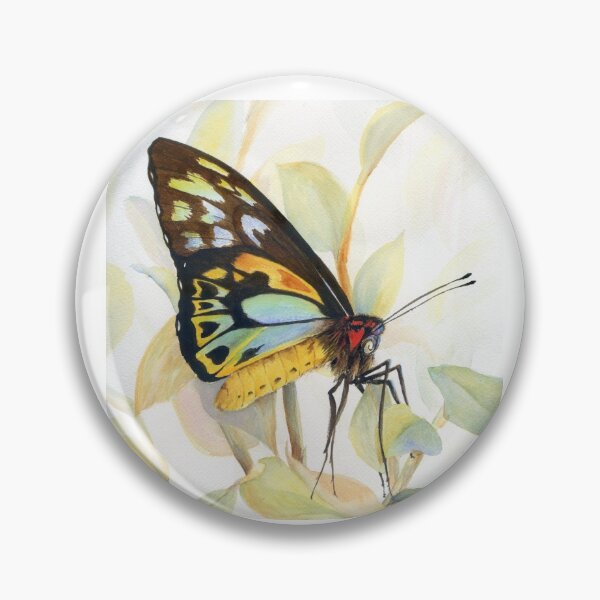 Item preview, Cairns Birdwing Butterfly Watercolour Painting by Heather Holland designed and sold by Heatherian.