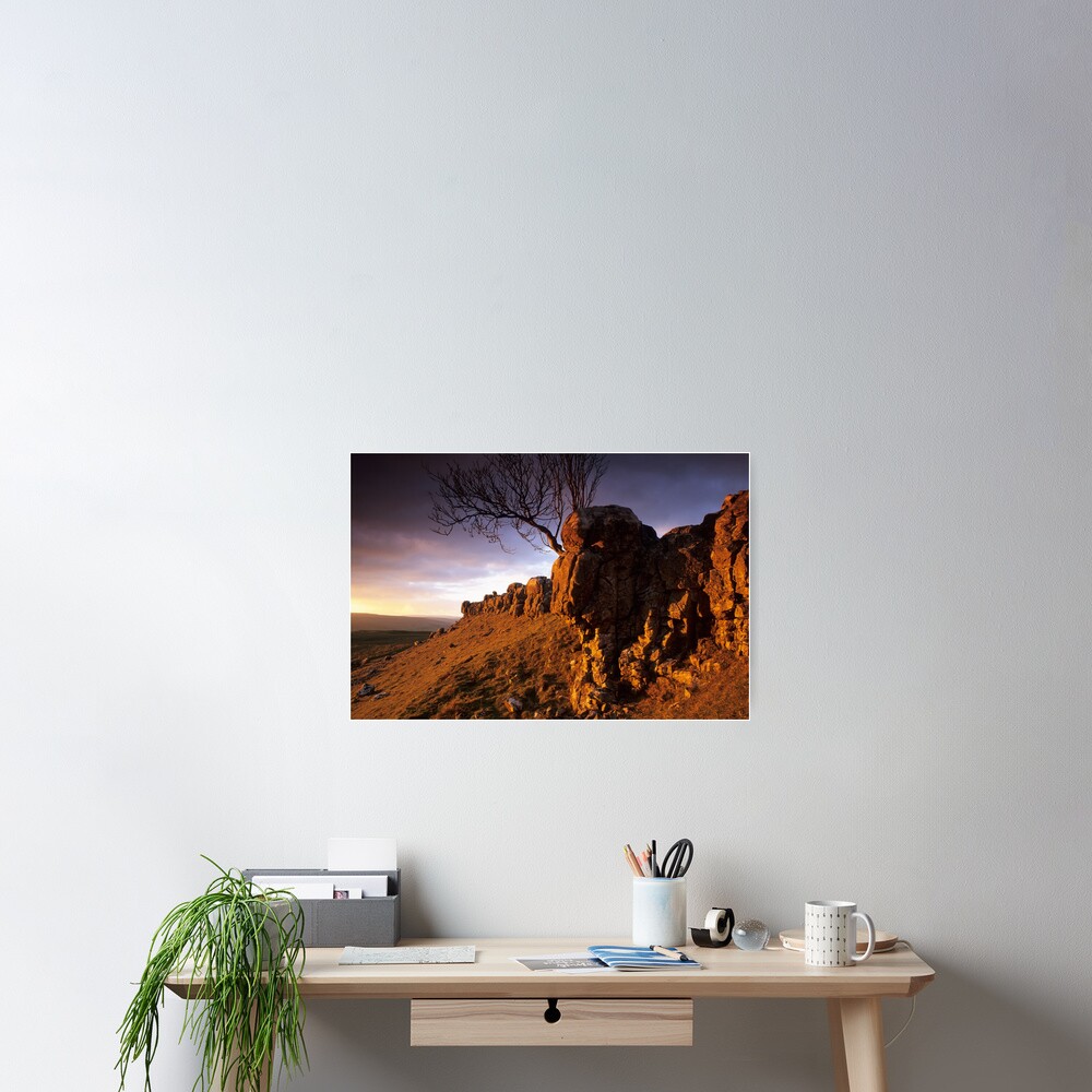 Item preview, Poster designed and sold by sjbowen.