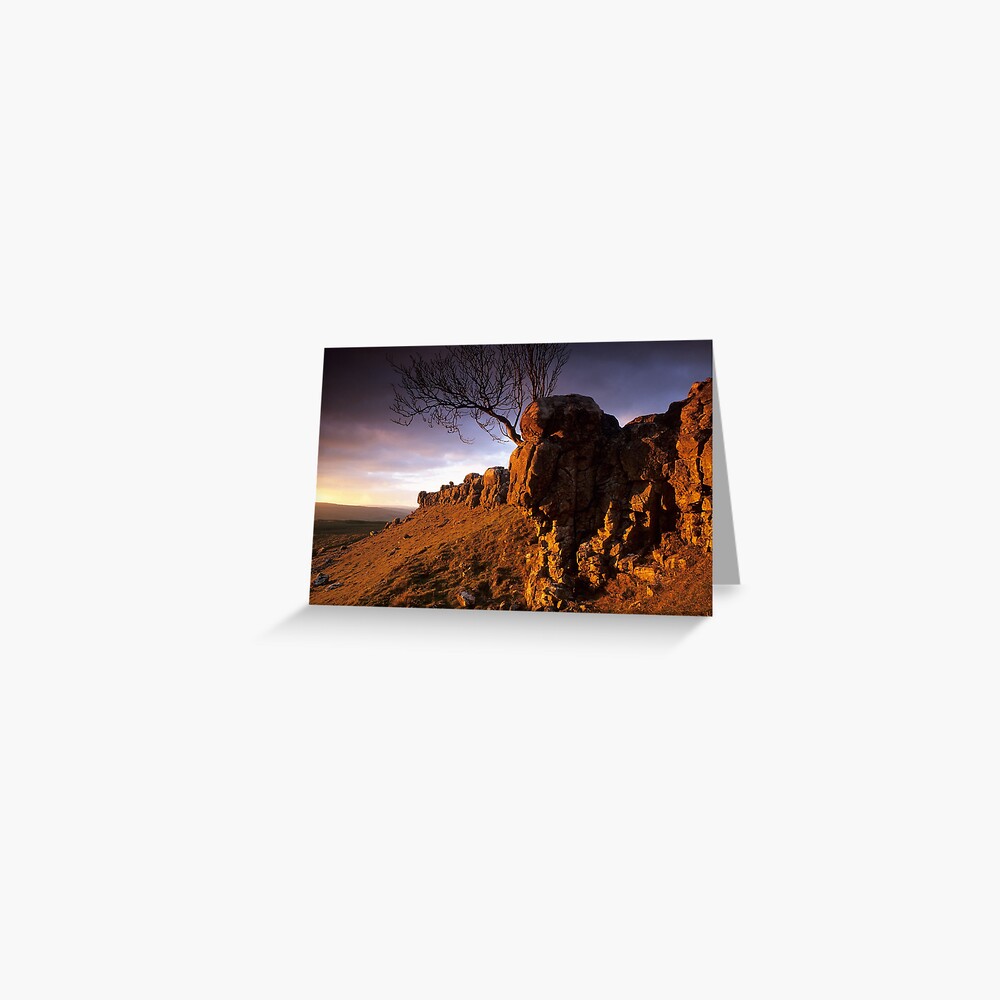 Item preview, Greeting Card designed and sold by sjbowen.