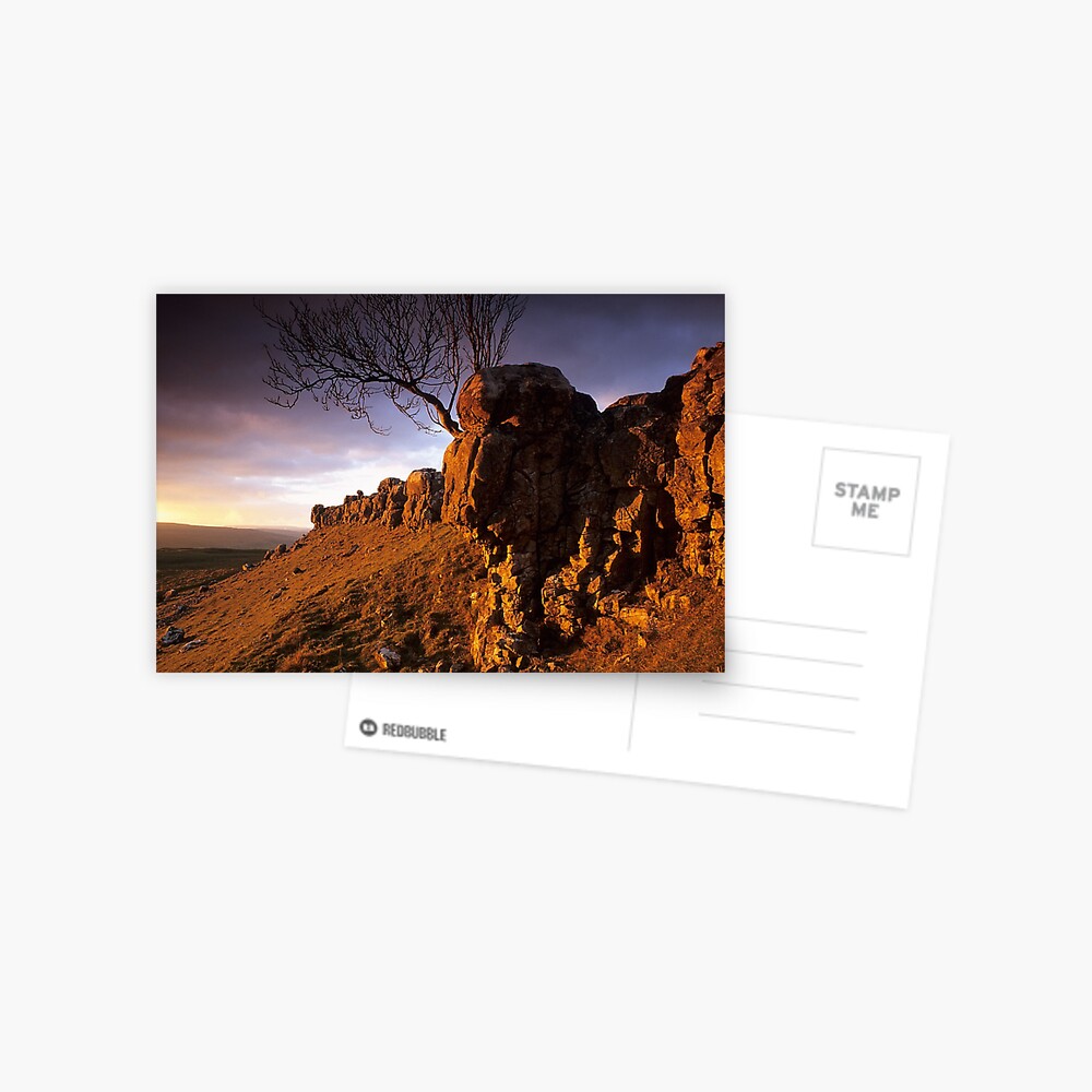 Item preview, Postcard designed and sold by sjbowen.