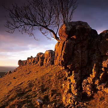 Artwork thumbnail, Conistone III by Simon Bowen