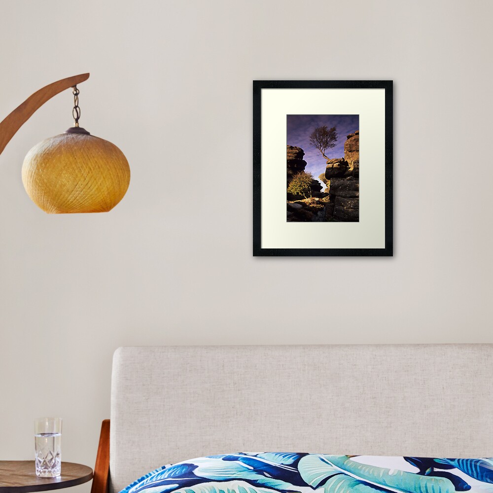 Item preview, Framed Art Print designed and sold by sjbowen.