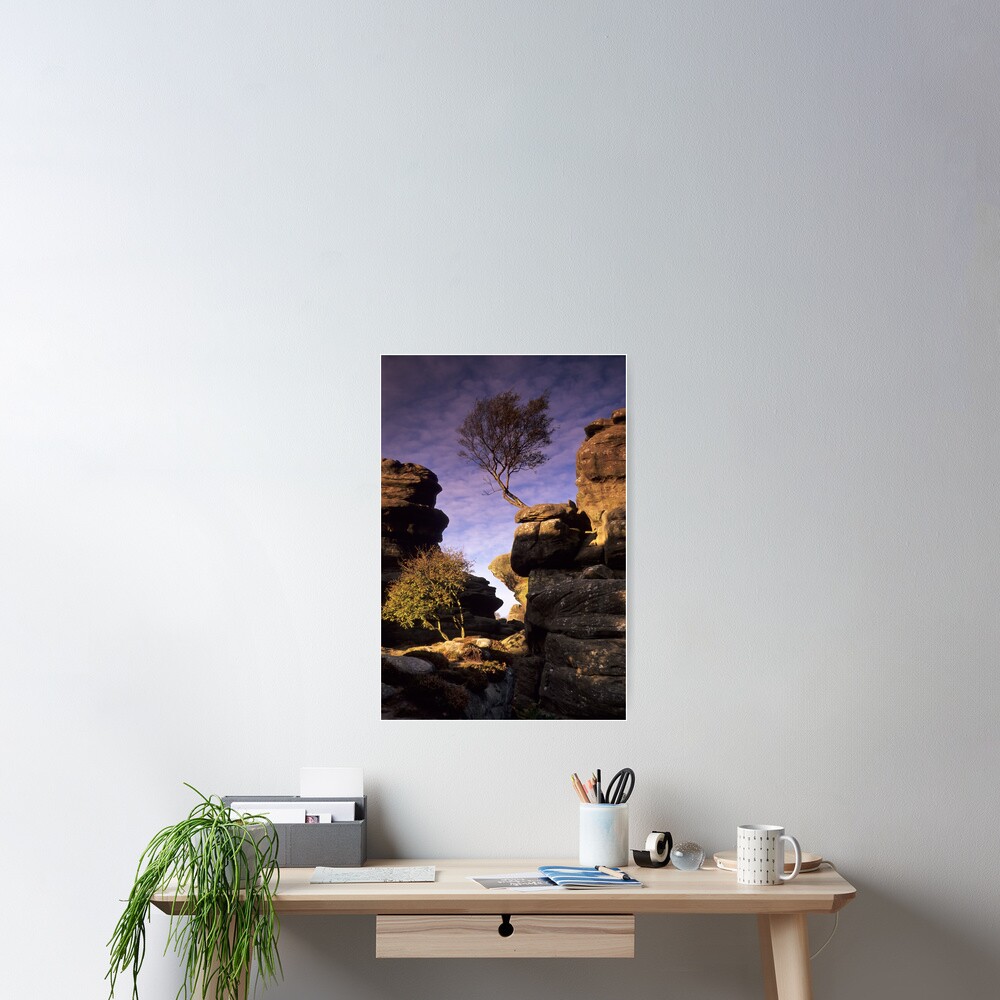 Item preview, Poster designed and sold by sjbowen.