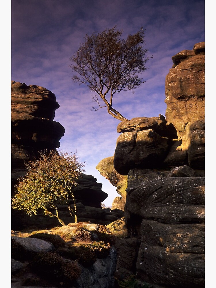Thumbnail 3 of 3, Art Print, Brimham Rocks designed and sold by sjbowen.