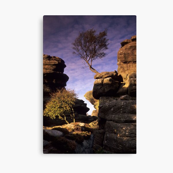 Brimham Rocks Canvas Print
